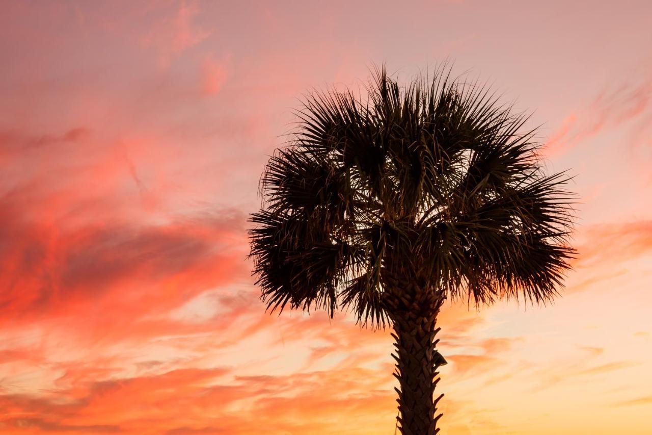 1314 Pelican Watch - Seabrook Island - Beachfront 5 Star Condo - Fido Friendly Εξωτερικό φωτογραφία