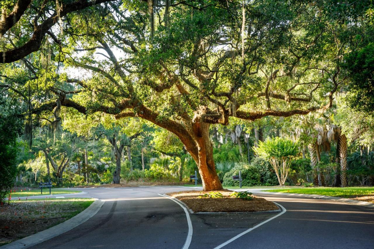 1314 Pelican Watch - Seabrook Island - Beachfront 5 Star Condo - Fido Friendly Εξωτερικό φωτογραφία