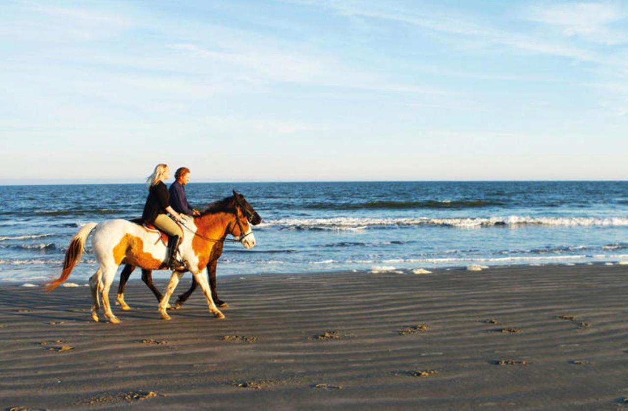 1314 Pelican Watch - Seabrook Island - Beachfront 5 Star Condo - Fido Friendly Εξωτερικό φωτογραφία